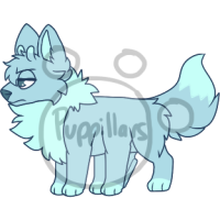 Thumbnail image for PUP-382: Flurry