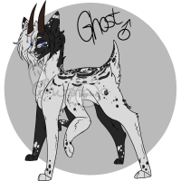 Thumbnail for PUP-406: .GHOST.