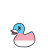 Trans Pride Ducky