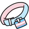 Trans Pride Collar